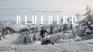 160 km Backcountry Snowmobile Documentary in Newfoundland Canada  BLUEBIRD Film [upl. by Marrilee]