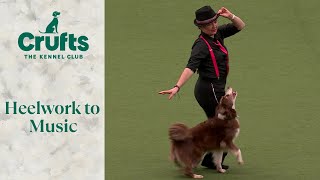 Heelwork To Music Part 2  Crufts 2024 [upl. by Osithe]