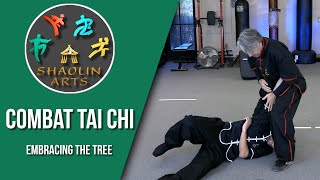 Combat Tai Chi Fighting  Embracing the Tree [upl. by Ardnalahs]