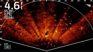 Garmin Livescope Perspective Mode What Are We Seeing Sunken Objects Crappie School Beds Galore [upl. by Sephira731]