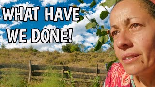 Big change and Difficult decisions on our off grid homestead [upl. by Minabe]