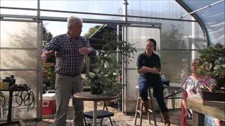 walter pall discusses my engleman spruce [upl. by Ailaht]