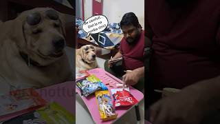 Konjam overa poromapovom😛 funnyvideos vadivelu dogshorts trending pets love daddy doglover [upl. by Noicnecsa]