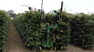 QuickHedge instant hedges  Trimming by GPS 2 [upl. by Boycie]