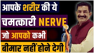 Body Healing Techniques Never Fall Sick Again करो ACTIVATE अपनी इस जादुई NERVE को  Ram Verma [upl. by Oicnerolf]