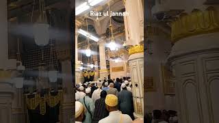 Riyajul Janna today jiyarat 2024youtubeshorts madinamunawra islamicstatus masjidharam [upl. by Ileyan]