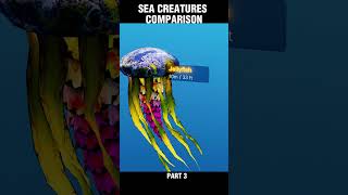 Sea Monsters  Deep Sea Creatures Size Comparison 2024 [upl. by Fassold]