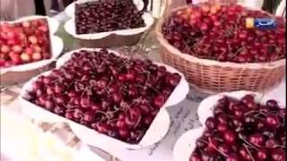 LES CERISES DE TLEMCEN [upl. by Johanna]