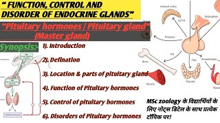 Pituitary Hormones  Pituitary Gland Hormones  Function control and disorders of pituitary hormone [upl. by Iegres469]