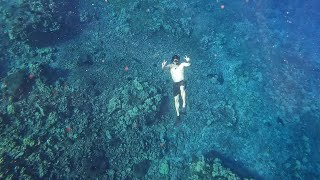 Molokini and Turtle Station [upl. by Ydnas]