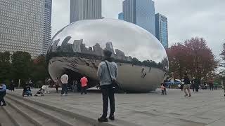 Chicago Millenium Park Christmas Tree Setup [upl. by Fanchette]