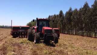 Plantio soja Caarapo MS em cima de brachiaria rusisienses [upl. by Nazar]