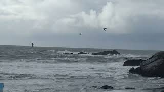 Harris Beach Brookings OR [upl. by Geiss]