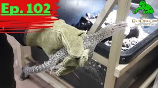 Ep 102  DIY Faire un terrarium avec un bac Laguna pour varan for monitor lizard varanus [upl. by Doley]