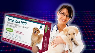 Simparica trio explained by AI veterinarians [upl. by Atinnor639]