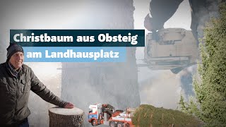 Christbaum aus Obsteig erstrahlt den Landhausplatz [upl. by Kasey970]