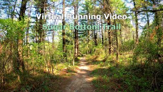 Experience the Scenery Virtual Treadmill Running Video at Sugar Bottom Coralville Lake USA [upl. by Aremmat]