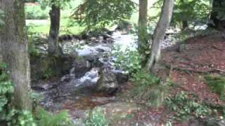 kampvuurverhaal ardennen meditatie muziek door Renaat de Jonghe [upl. by Kcorb]