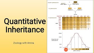 Quantitative inheritance and polygenes  Continuous and discontinuous variations [upl. by Noelyn448]