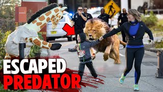 These 3 People Were EATEN ALIVE By Escaped Zoo Animals [upl. by Lledrac]