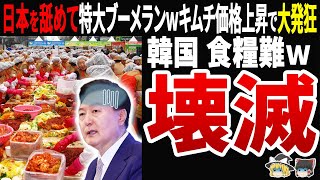 【アホすぎるｗ】韓国日本の汚染水とかありえない！→結果ｗ国民飢餓状態で世界も見放すｗ [upl. by Furmark]