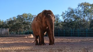 حديقة الحيوانات بالرباط JARDIN ZOOLOGIQUE DE RABAT [upl. by Gona]