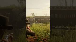 Killing Lemoyne raiders reddeadredemtion2 rdr2 gaming [upl. by Amri]