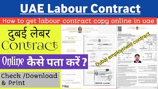 How to get labour contract copy online in uae  How to download labour contract UAE [upl. by Enak]