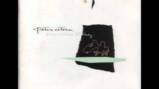 PETER CETERA  BEST OF TIMES [upl. by Aehsal]