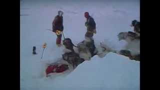 1986 North Pole Expedition  Song by Ann Reed [upl. by Annyahs392]