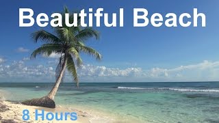 Relaxing 8 Hour Video of A Tropical Beach with Blue Sky White Sand and Palm Tree [upl. by Salita]