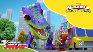 🦖 Vecinul Dinozaur  Păienjenelul Marvel și prietenii lui uimitori  Disney Junior România [upl. by Cyb599]