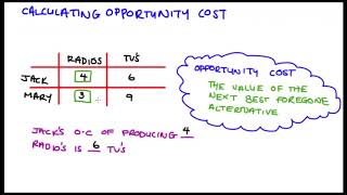 Calculating Opportunity Cost [upl. by Nerok706]