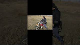 motocycler with sidecar shorts bikelife топ automobile [upl. by Pinebrook]