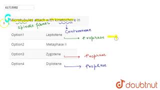 Microtubules attach with kinetochore in [upl. by Ailicec]