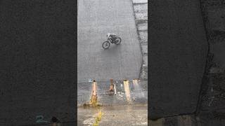 RIDING DOWN INSANE DAM mtb dog [upl. by Song]