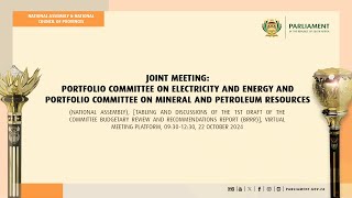 Joint Meeting PC on Electricity and Energy and Portfolio Committee on Mineral  22 October 2024 [upl. by Hawger]