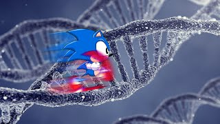 🧬 Il y a du Sonic dans mon ADN 🧬  Comment passer dicône du jeu vidéo à un gène [upl. by Uird463]