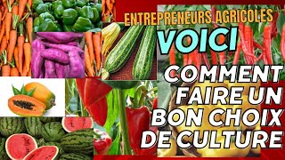 COMMENT FAIRE UN TRES BON CHOIX DE CULTURE EN AGRICULTURE [upl. by Figueroa140]