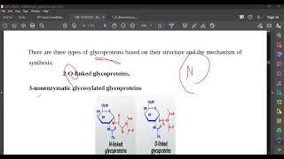 L29 Glycoproteins amp Proteoglycans [upl. by Elmajian773]