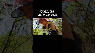 징그럽긴 해도 꽤나 돈 되는 녀석들 골라듄다큐 shorts [upl. by Ydnelg]