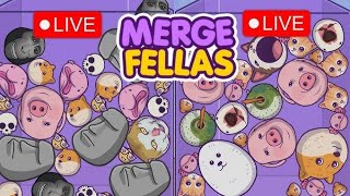 Merge Fellas New Level Unlock [upl. by Rawna]