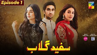 Sufaid Gulab Episode 1  Hamza sohail  Sehar Khan  Anmol Balooch  Fairy tale Cast pakistani drama [upl. by Ailemor]