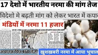 29 अक्टूबर 2024 नरमा कपास का भाव cotton bhav today कपास में तेजी बरकरार narma kapas ka bhav [upl. by Alisen]