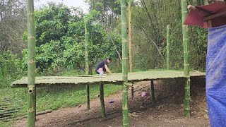 New life completes the stilt house frame and takes care of the vegetable garden [upl. by Ingaberg810]