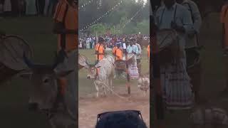 Fulakendu Nenda Saharay 2024 new dance shorts [upl. by Enilhtak821]