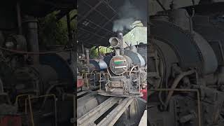 Narrow Gauge Railways around the world toytrainvideo locomotive locogarage dhr MRPEACEINDIA [upl. by Silma952]