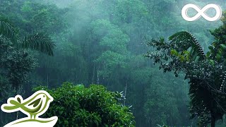 No Worries Soft Rain Sounds with Relaxing Music for Sleep amp Meditation [upl. by Mastic585]