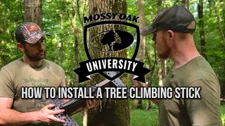 How to Install a Tree Climbing Stick [upl. by Irahcaz]