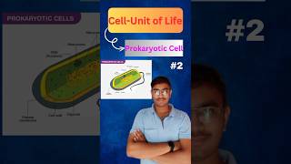 Prokaryotic Cells Explained  Cell  Unit of Life  Biology NEET  Class 11th [upl. by Tereb]